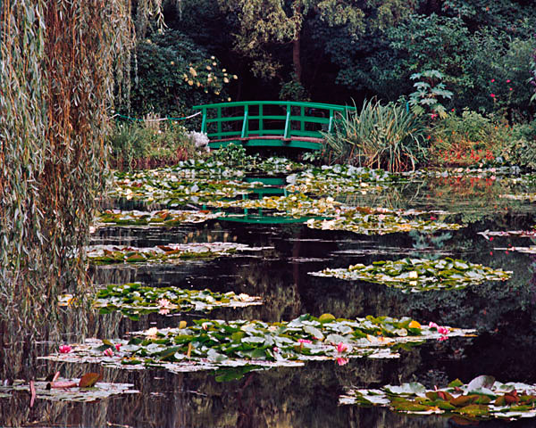 Monet's Water Lilies - Giverney, France