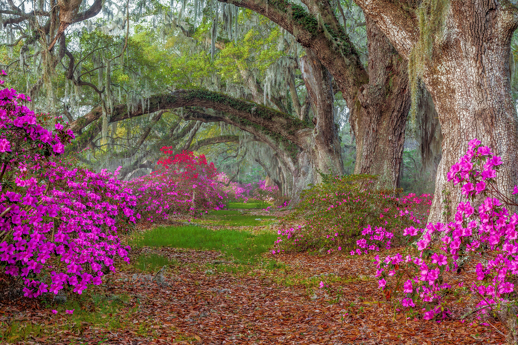 Charleston Photographic Workshop Tour