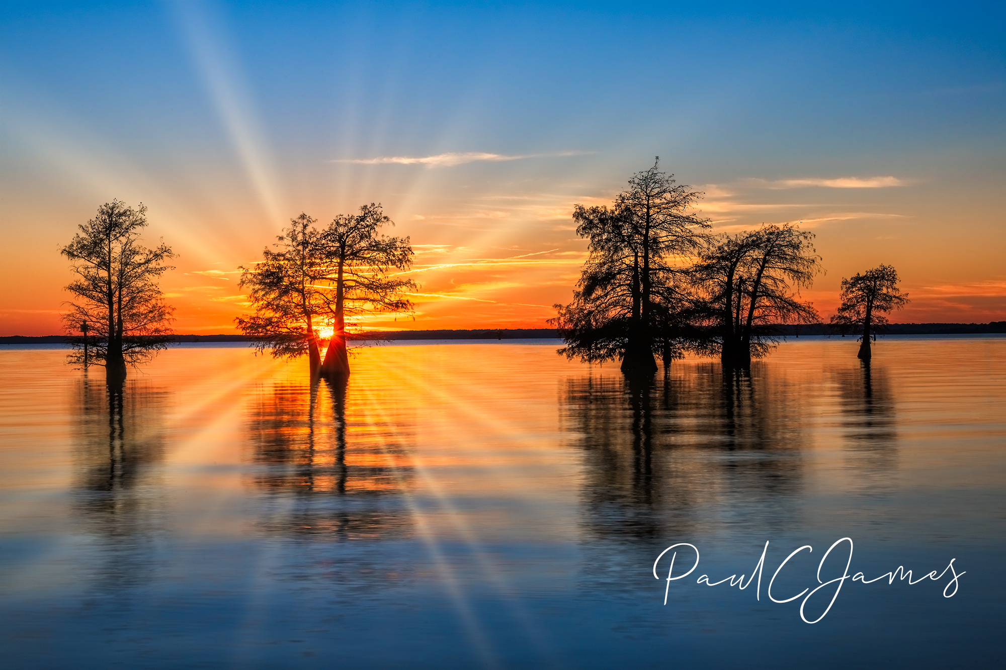 Caddo Lake Colors Photography Workshop #2