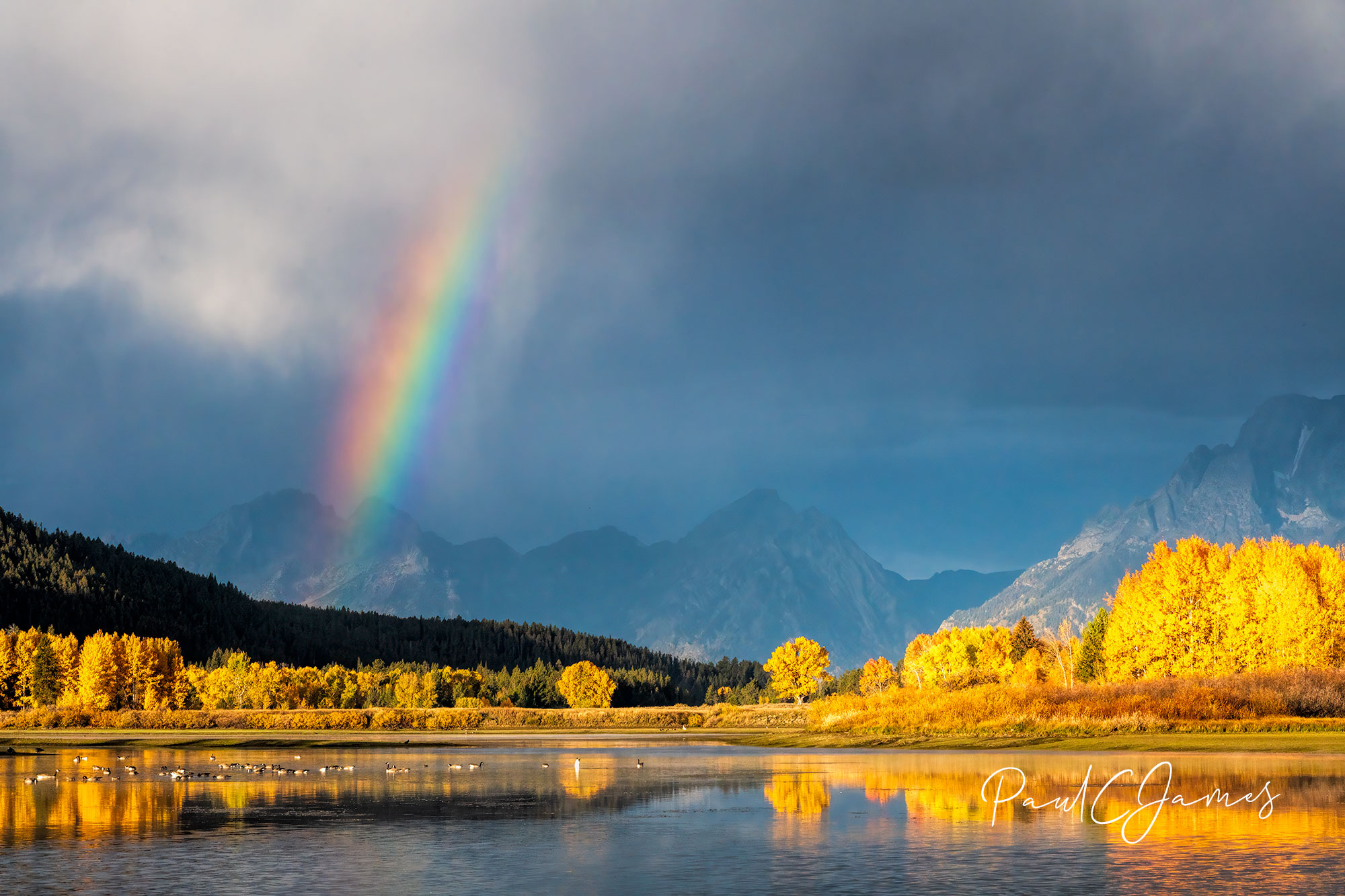 Grand Tetons Mammoth Hot Springs Fall Photography Workshop