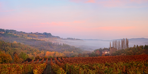 Pisa Chianti and Rome Photographic Workshop Tour