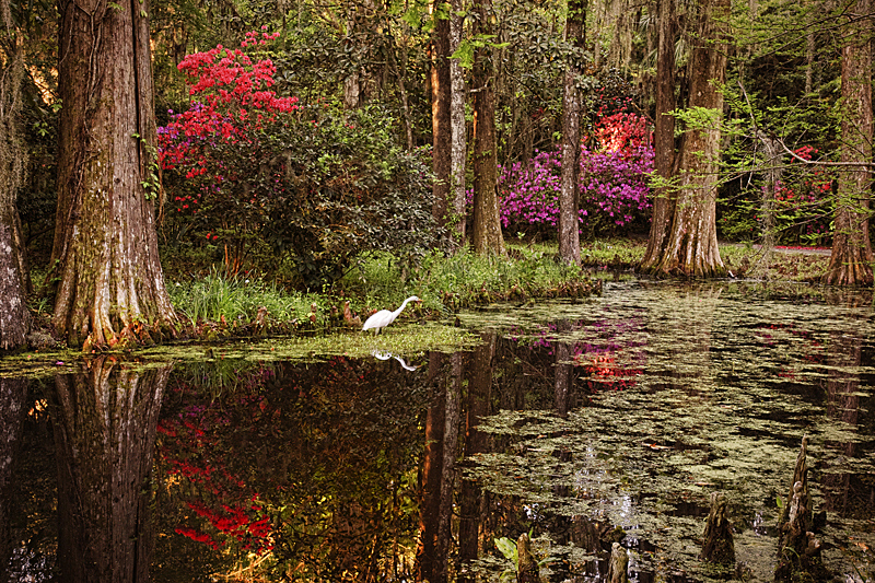 Charleston Workshop Tour