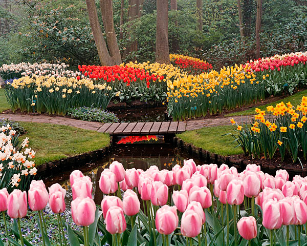 Holland