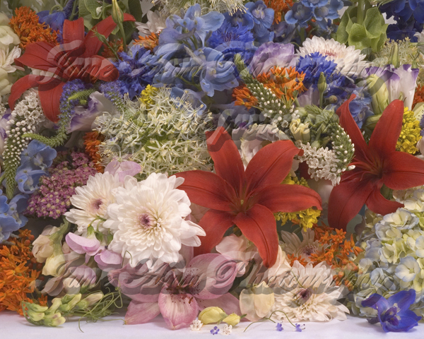Jane's Florals