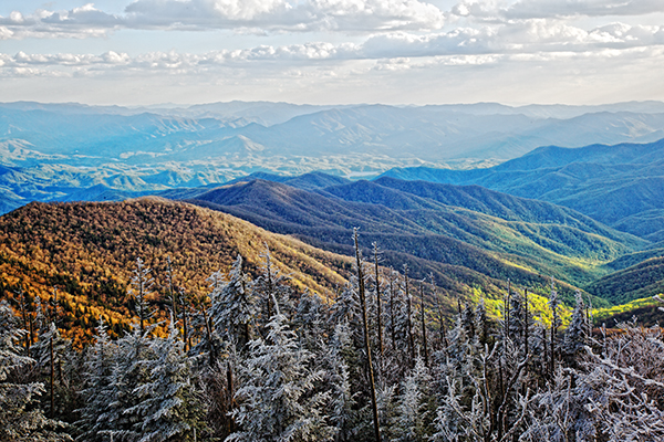 Smoky Mountains Workshop Tour
